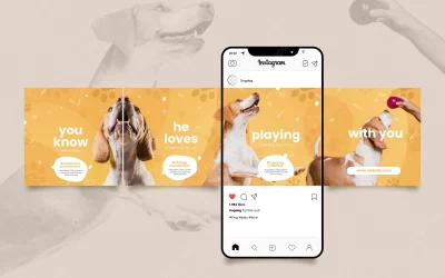Carruseles de Instagram: reyes del engagement